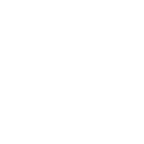 Steam